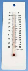 Economy Thermometers (Pack of 10)