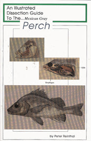 Dissection Guide to the Perch