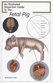 Dissection Guide to the Fetal Pig