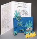 Book Plus Model - Lifecycle of a Frog