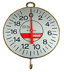 Demonstration Scale - 20N Capacity