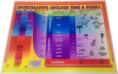 Investigating Geological Time and Fossils Transparency
