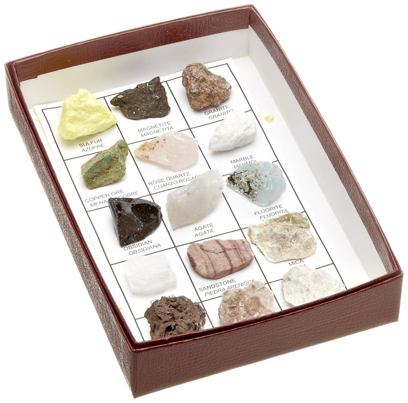 The U.S. Mounted Rocks and Minerals Intro Collection (Pack of 15)