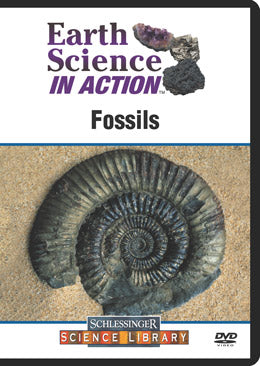 Fossils (DVD)