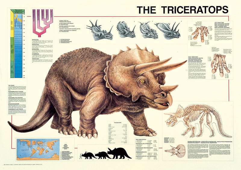 Triceratops Poster