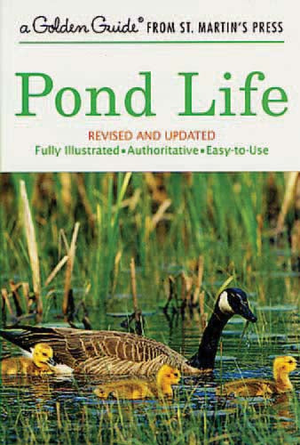 Golden Nature Guide - Pond Life