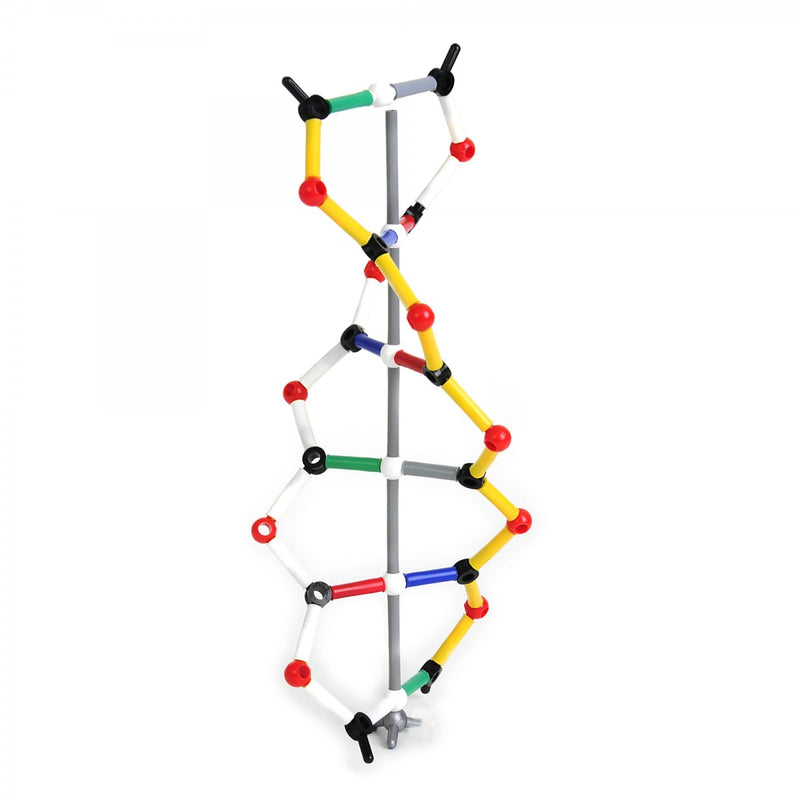 DNA Model - Single Packet