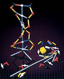 DNA Model - Single Packet