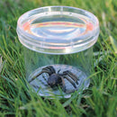 Magnifying Bug Viewer - 3" Diameter