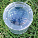 Magnifying Bug Viewer - 3" Diameter