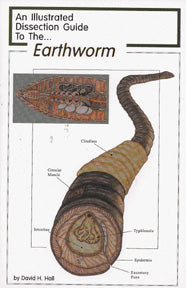 Dissection Guide to the Earthworm