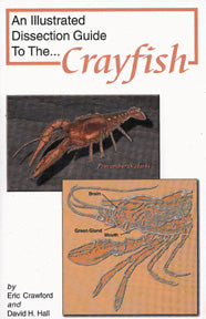 Dissection Guide to the Crayfish