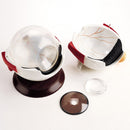 Giant Hands-On Eyeball