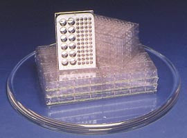 Microplates - Small Wells (Pack of 6)