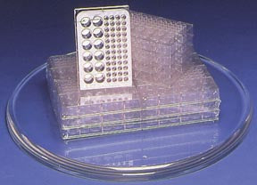Microplates - Combination Pack (Pack of 12)