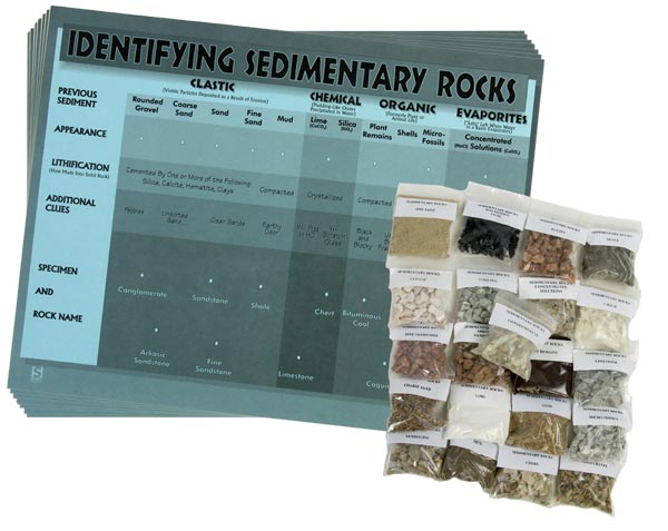 Sedimentary Rock Student Charts and Rock Samples - Set of 10