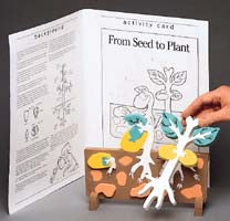 Book Plus Model - From Seed to Plant