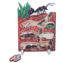 Book Plus Model - Lifecycle of a Ant