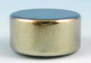 Disc Neodymium Magnet (1/4" Thick x 1/2" Diameter)