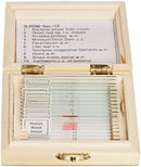 Basic Biology Slide Set (12 Slides)