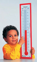 Demonstration Thermometer