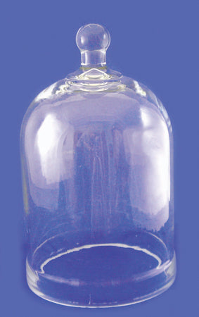 Glass Bell Jar - 6"W x 11"H