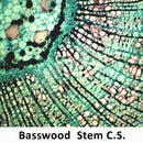 100 Prepared Slide Kit-Variety Set