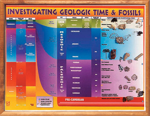 Investigating Geological Time and Fossils Chart