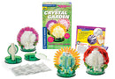 Thames and Kosmos Crystal Garden Kit