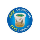 Butterfly Garden - Homeschool Edition