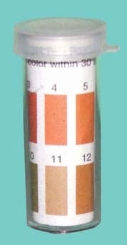 Wide Range pH Test Papers (1 vial)