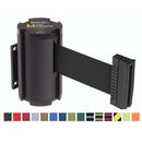 Wall Unit w/ 10' Belt