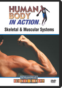 Skeletal & Muscular Systems (DVD)