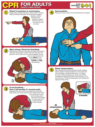 First Aid Poster - CPR for Adults